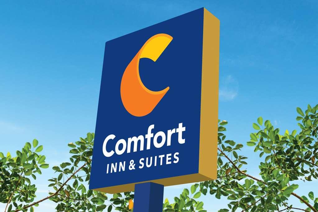 Comfort Inn & Suites โฮมา ภายนอก รูปภาพ